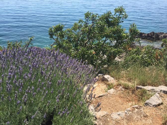 Studio Bozica Senj Senj  Eksteriør bilde