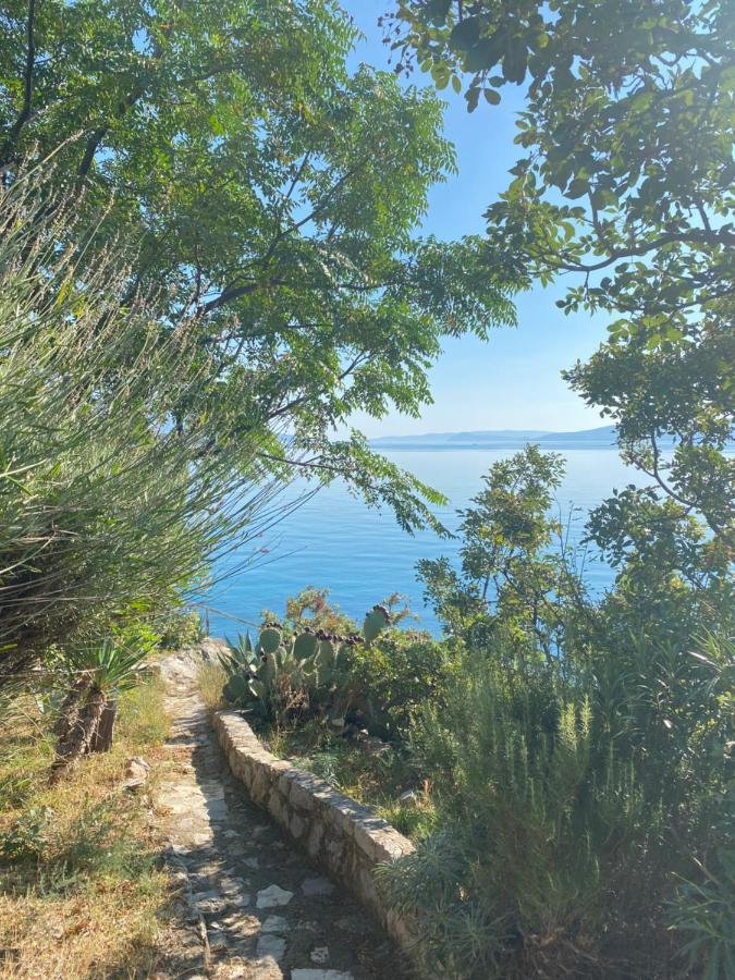 Studio Bozica Senj Senj  Eksteriør bilde