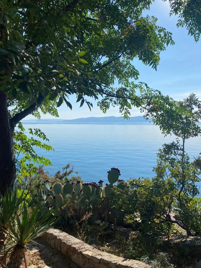 Studio Bozica Senj Senj  Eksteriør bilde