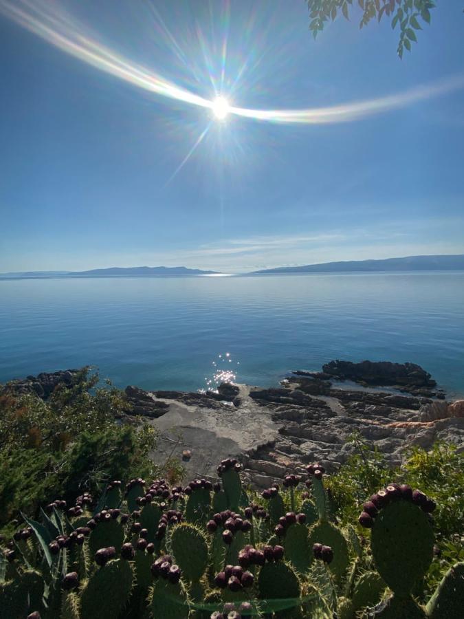 Studio Bozica Senj Senj  Eksteriør bilde