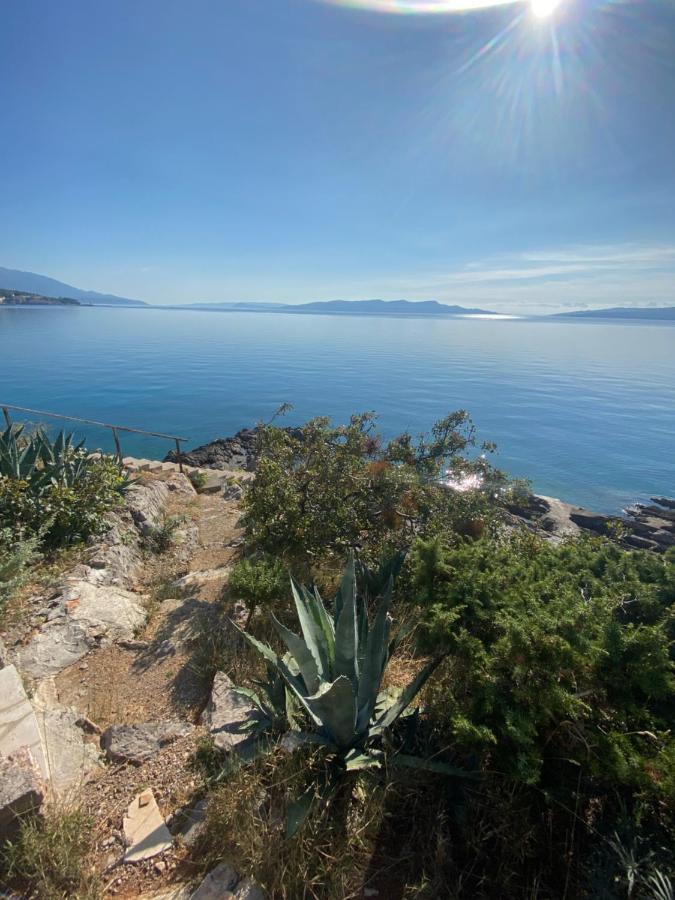 Studio Bozica Senj Senj  Eksteriør bilde